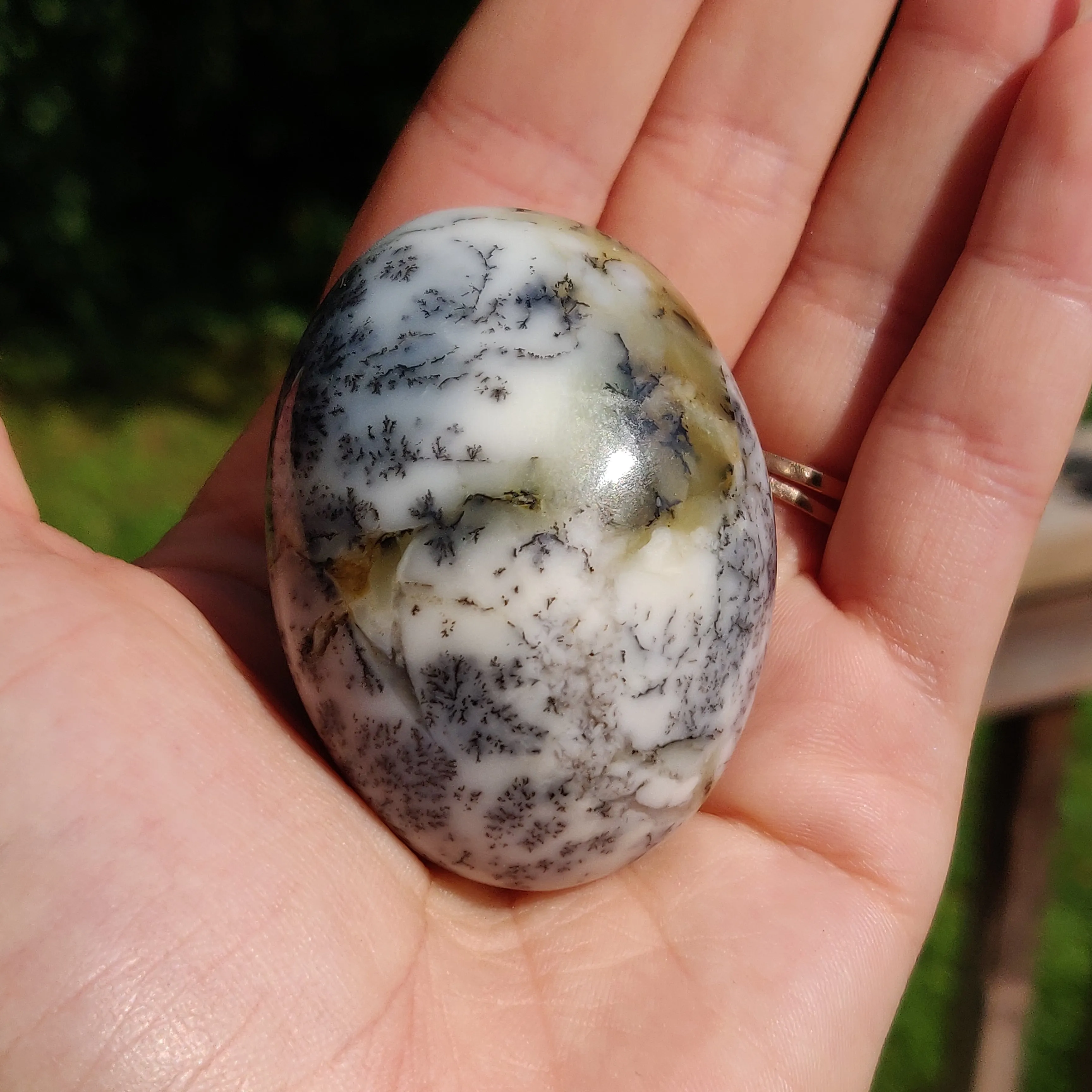 Dendritic Opal Palm Stone (#28)