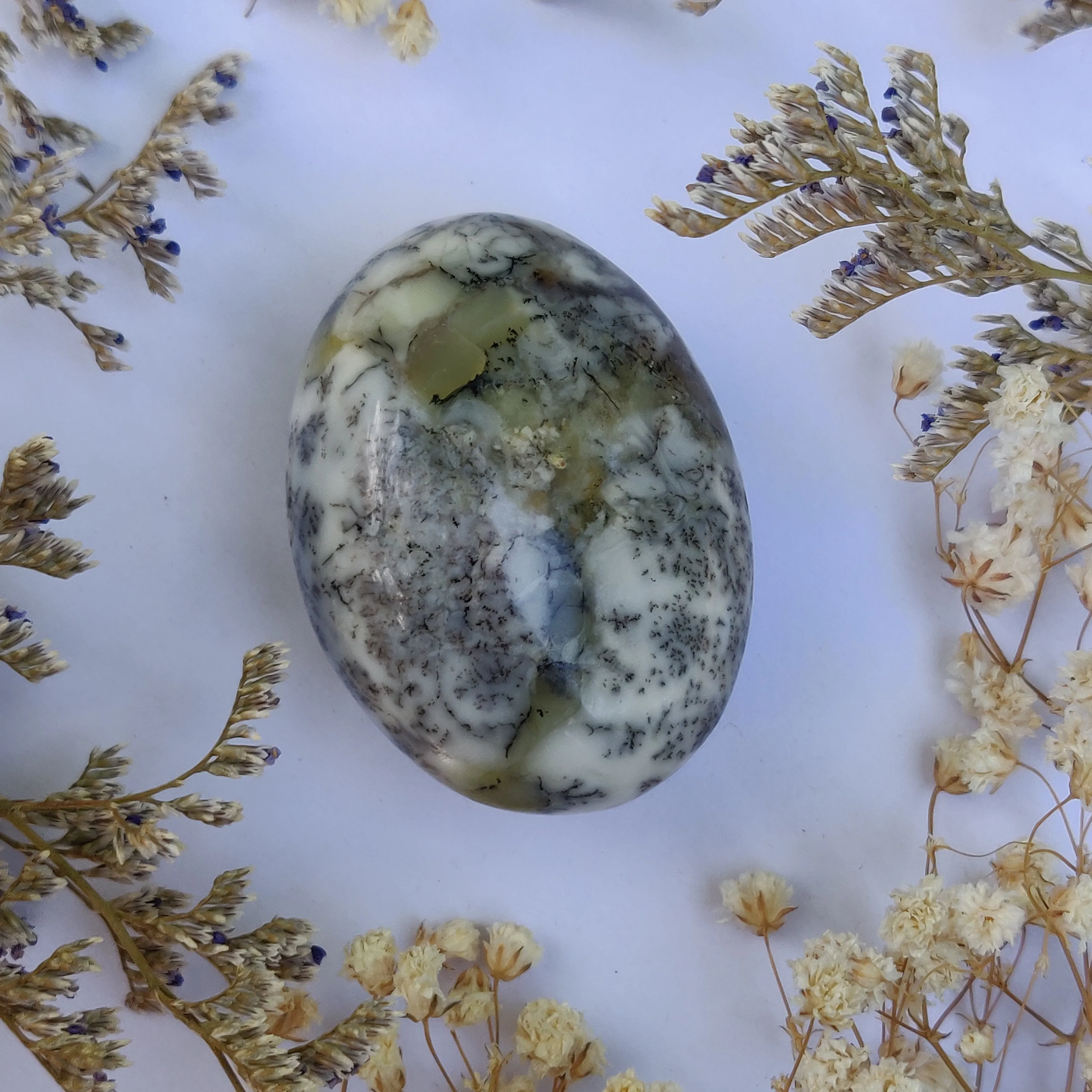 Dendritic Opal Palm Stone (#28)