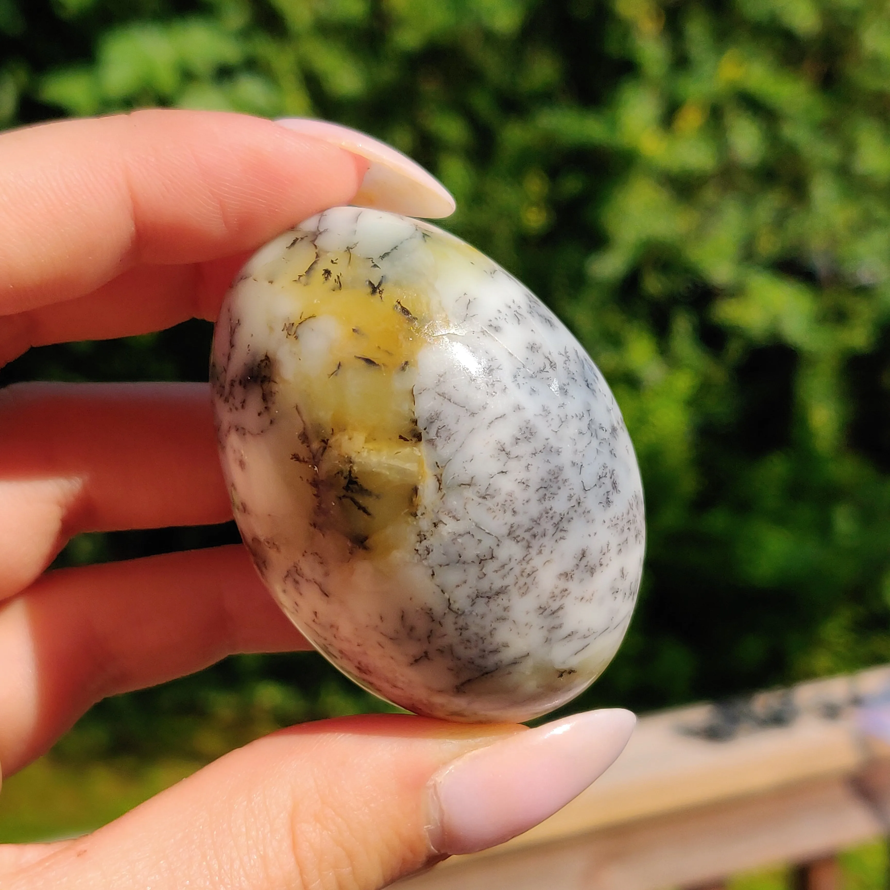 Dendritic Opal Palm Stone (#28)