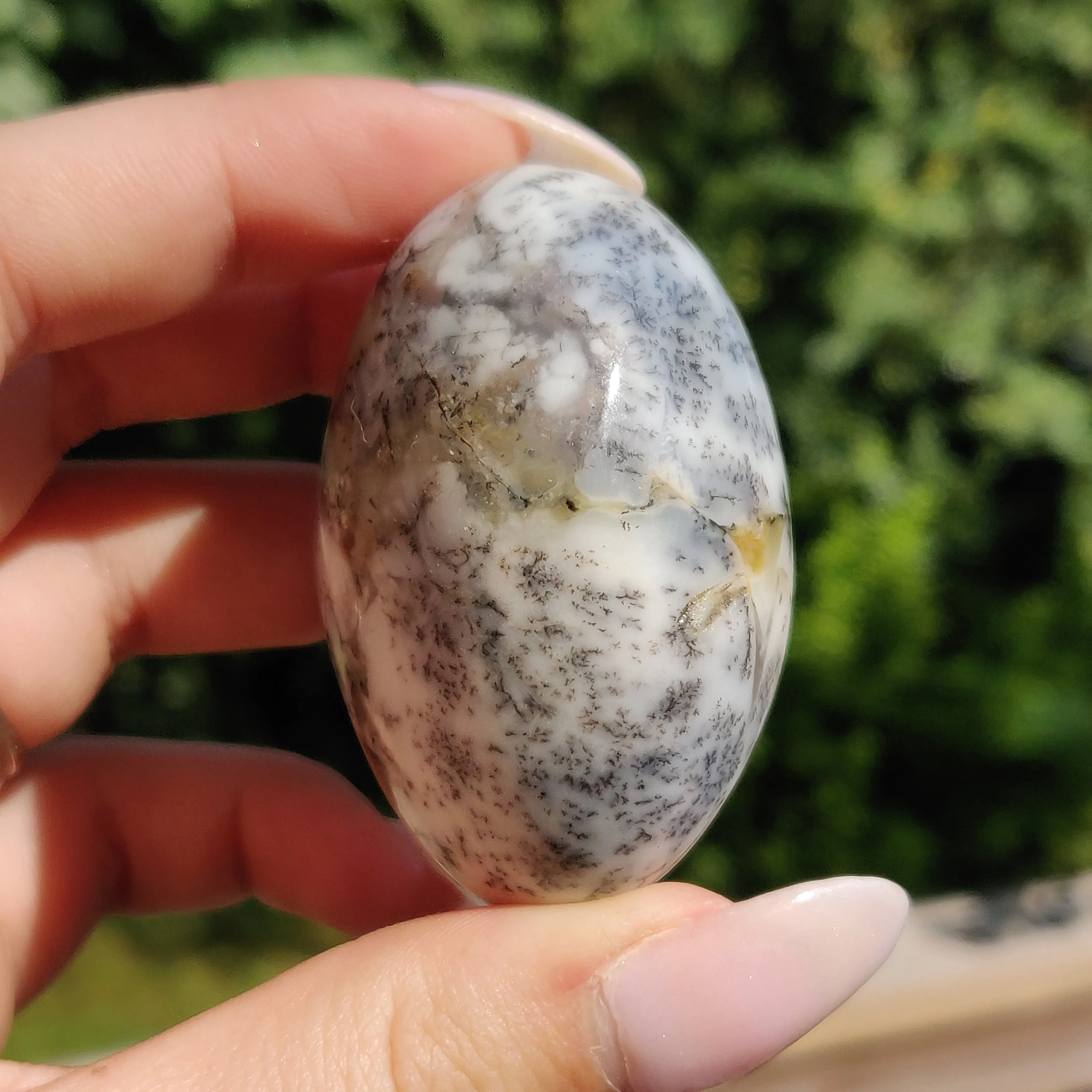 Dendritic Opal Palm Stone (#28)