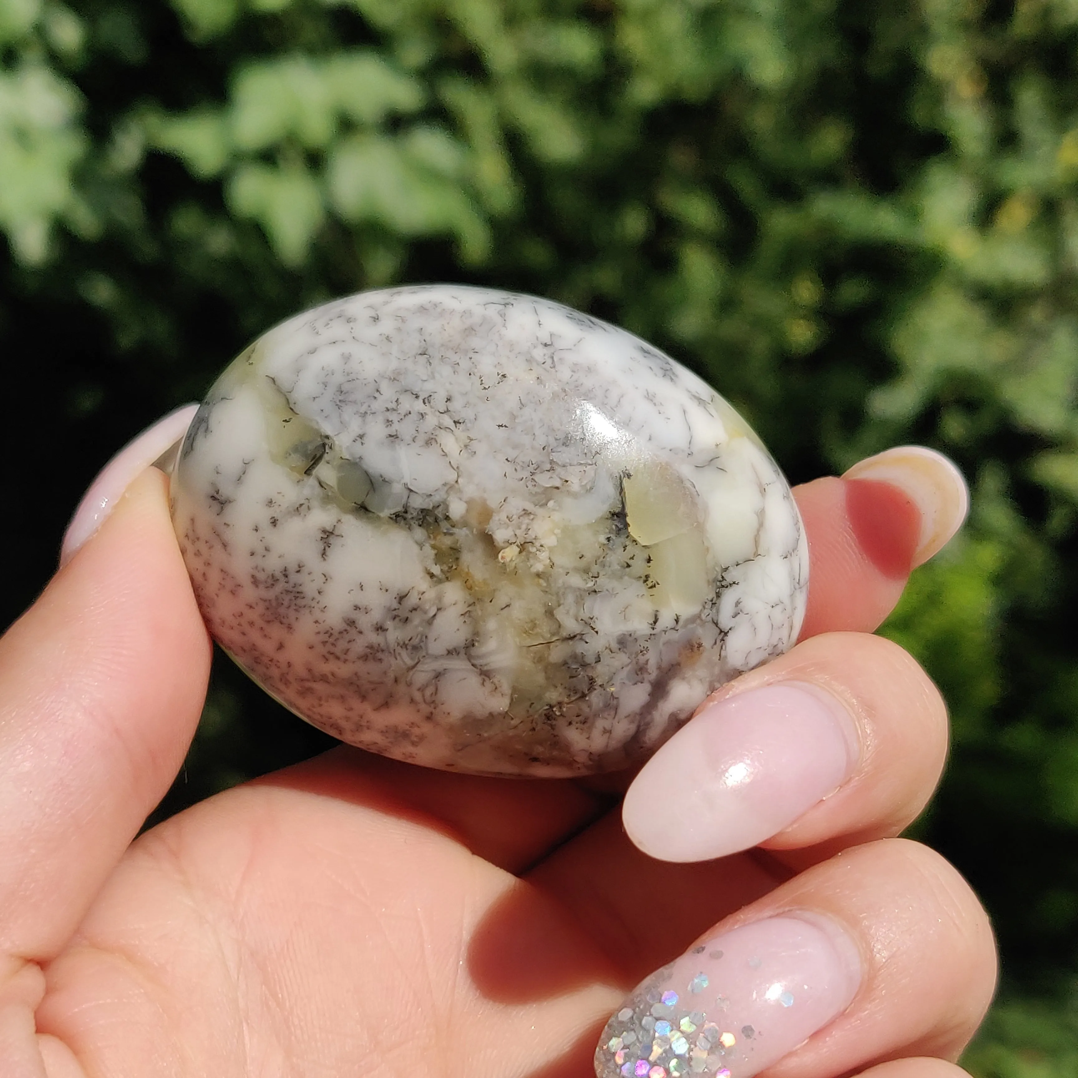Dendritic Opal Palm Stone (#28)