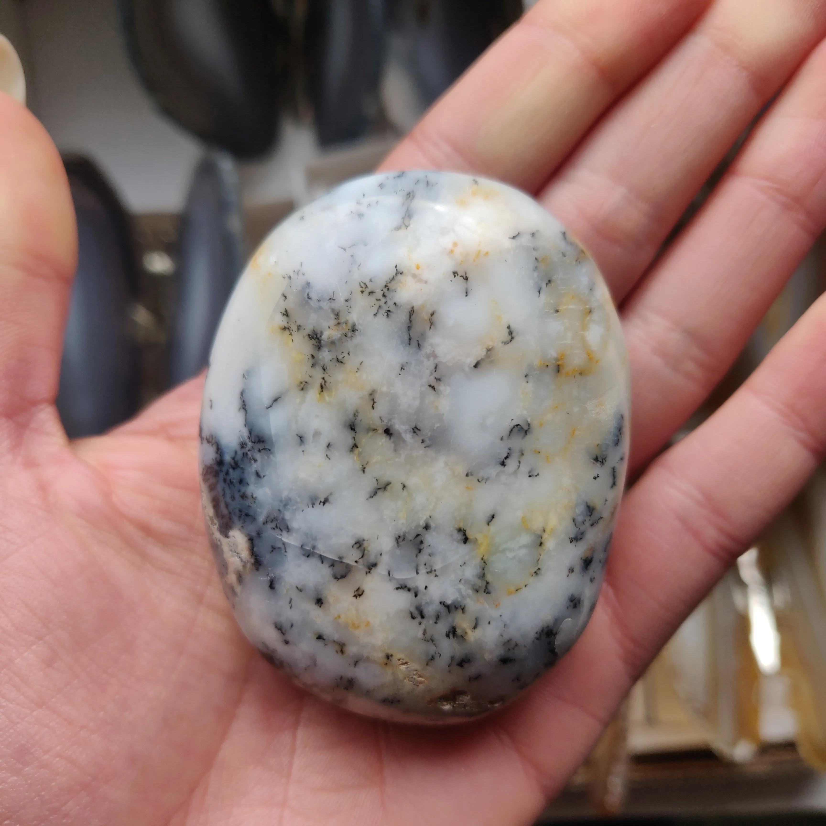 Dendritic Opal Palm Stone (#29)