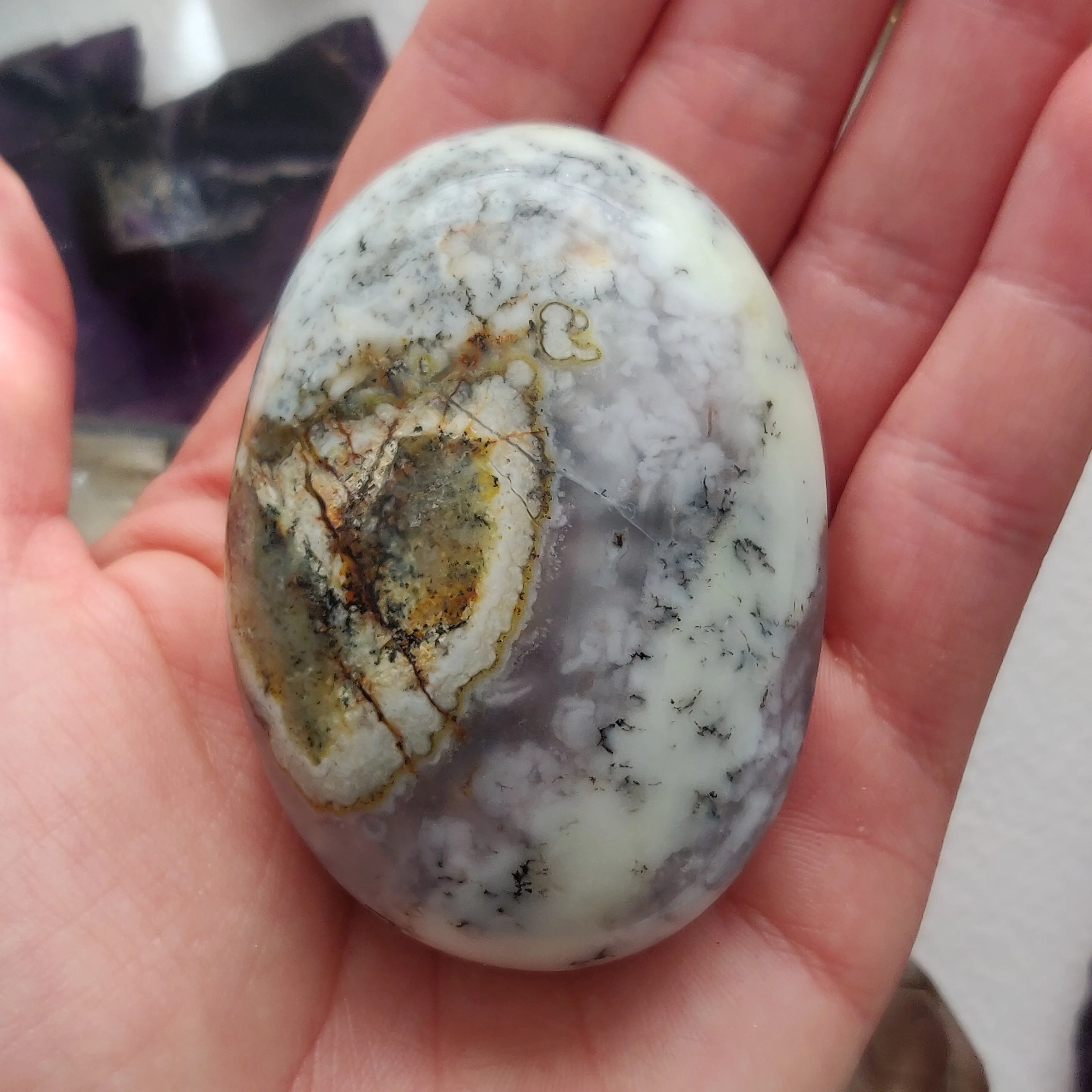 Dendritic Opal Palm Stone (#43)