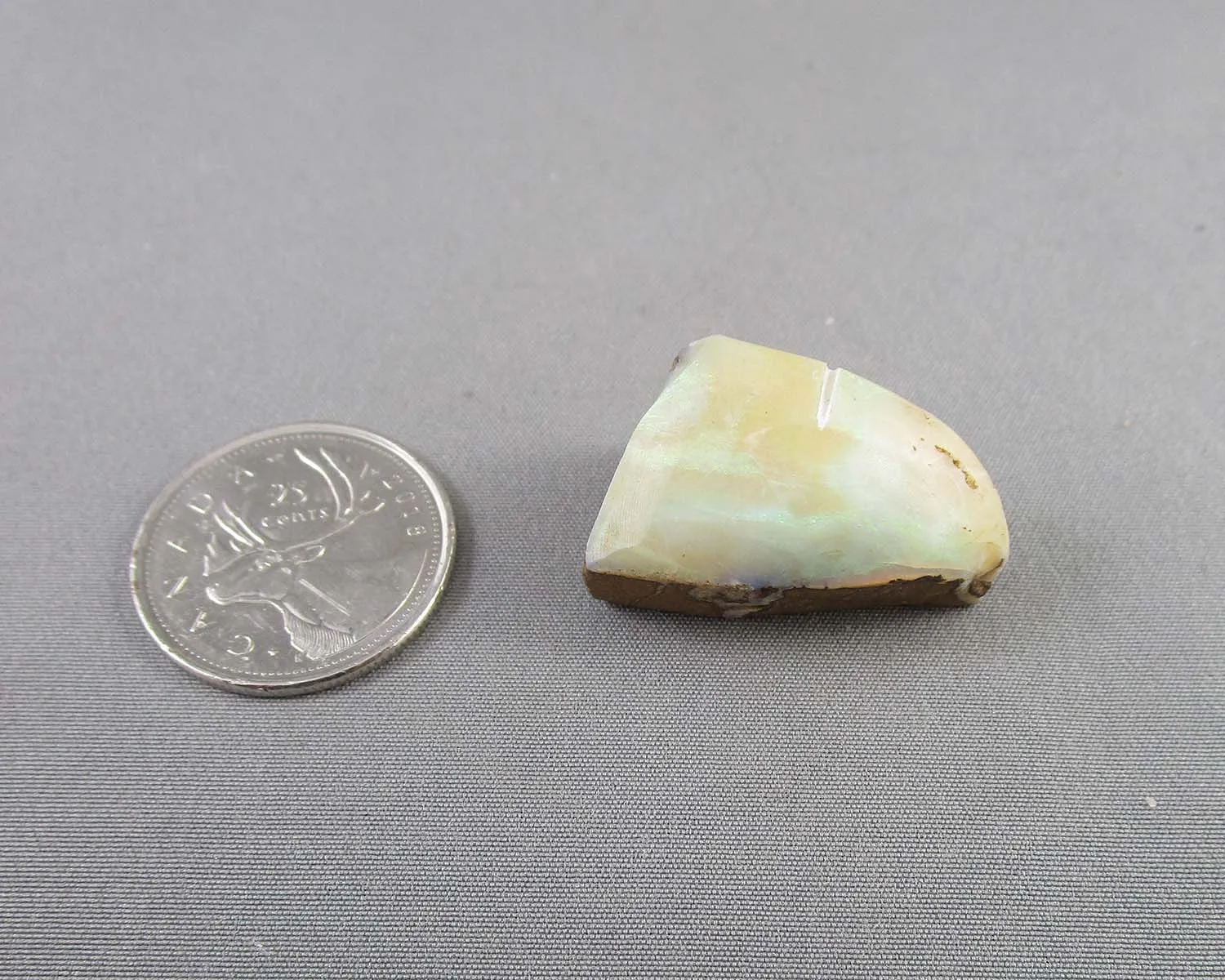Green Glow Australian Boulder Opal 1pc B010-7