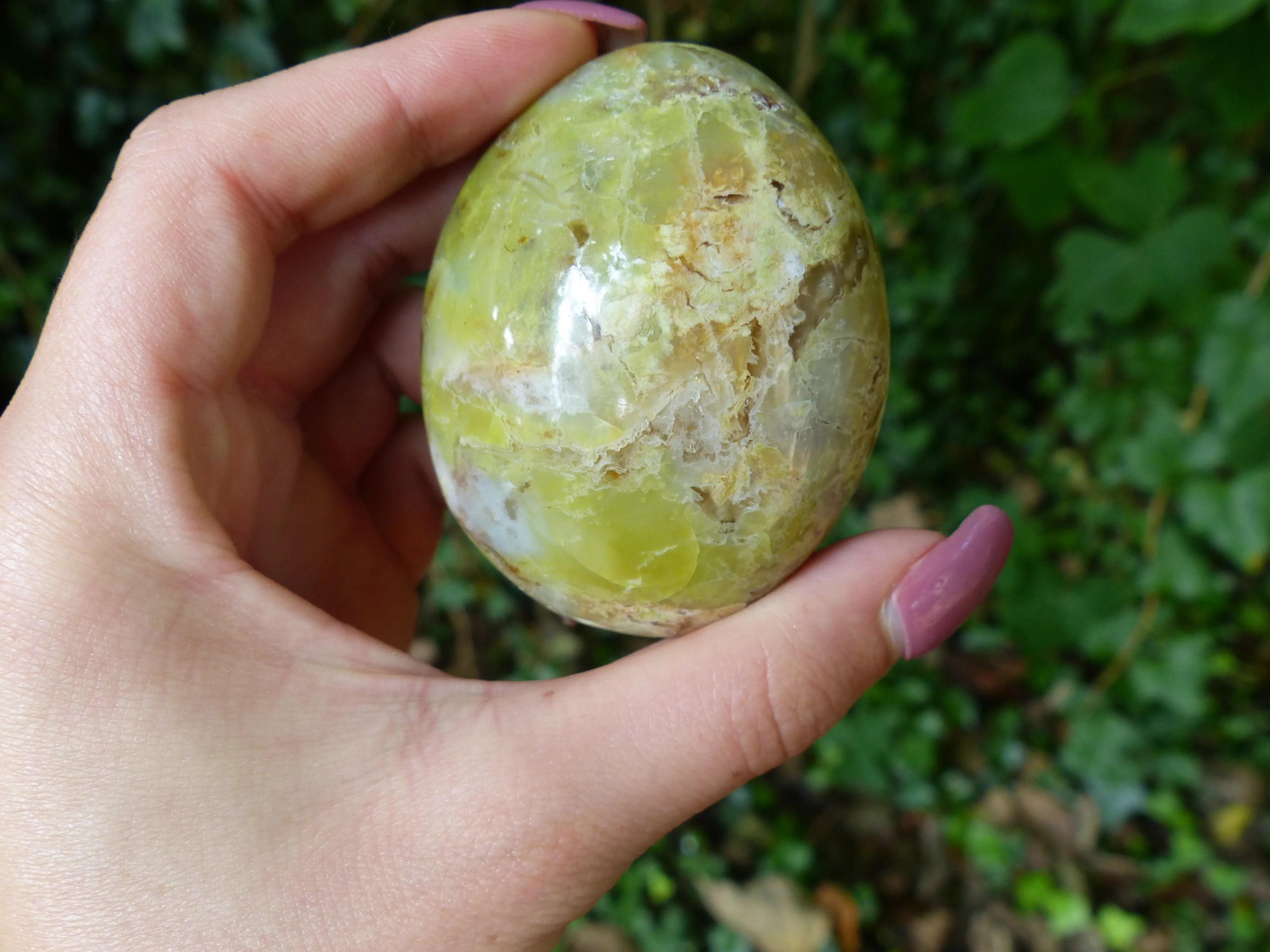 Green Opal Palm Stone (#6)
