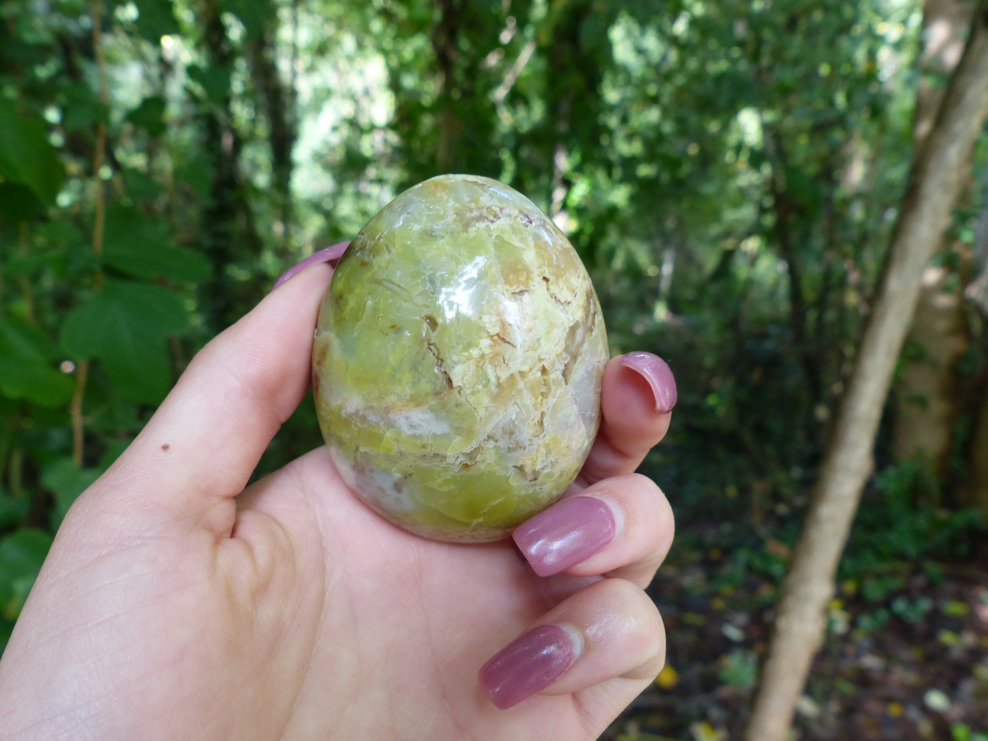 Green Opal Palm Stone (#6)