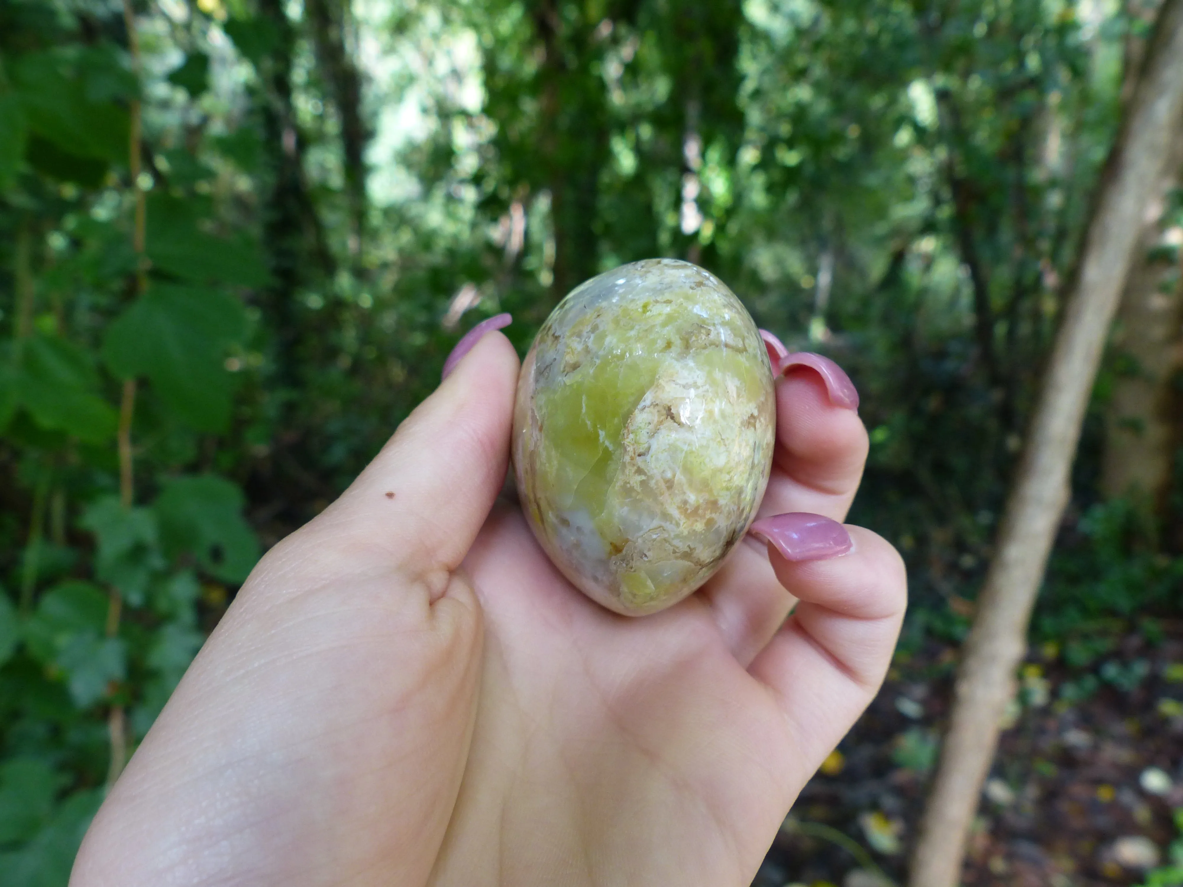 Green Opal Palm Stone (#6)