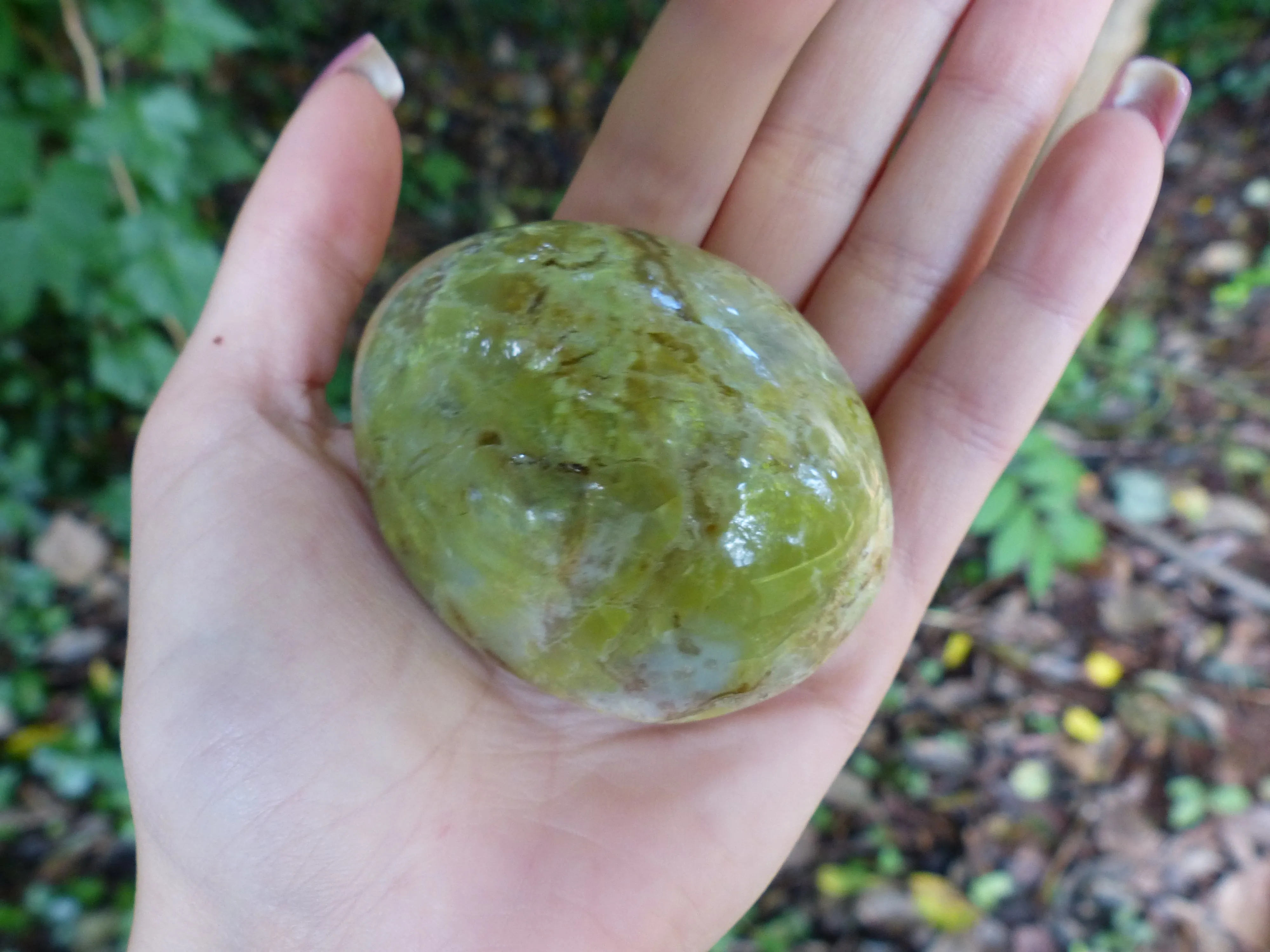 Green Opal Palm Stone (#6)