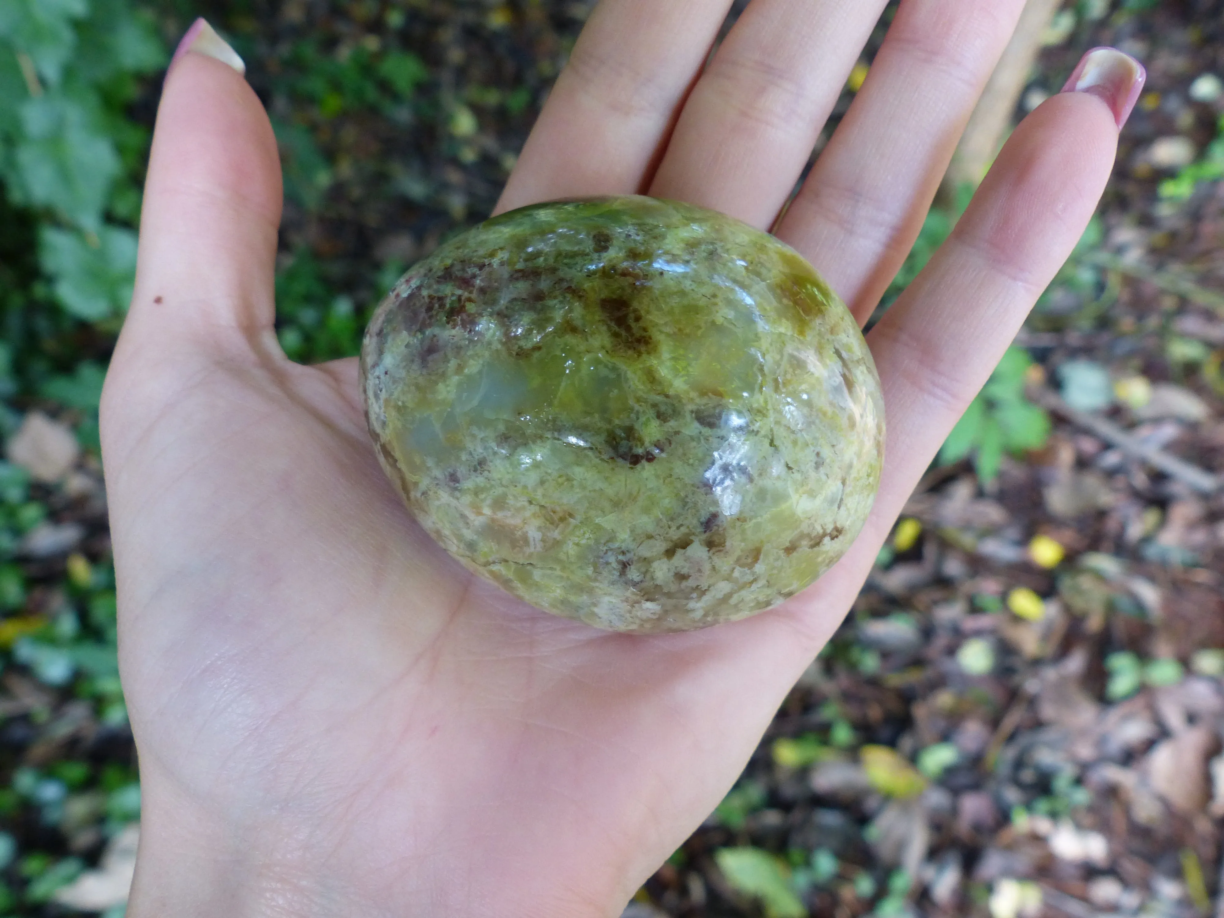 Green Opal Palm Stone (#6)