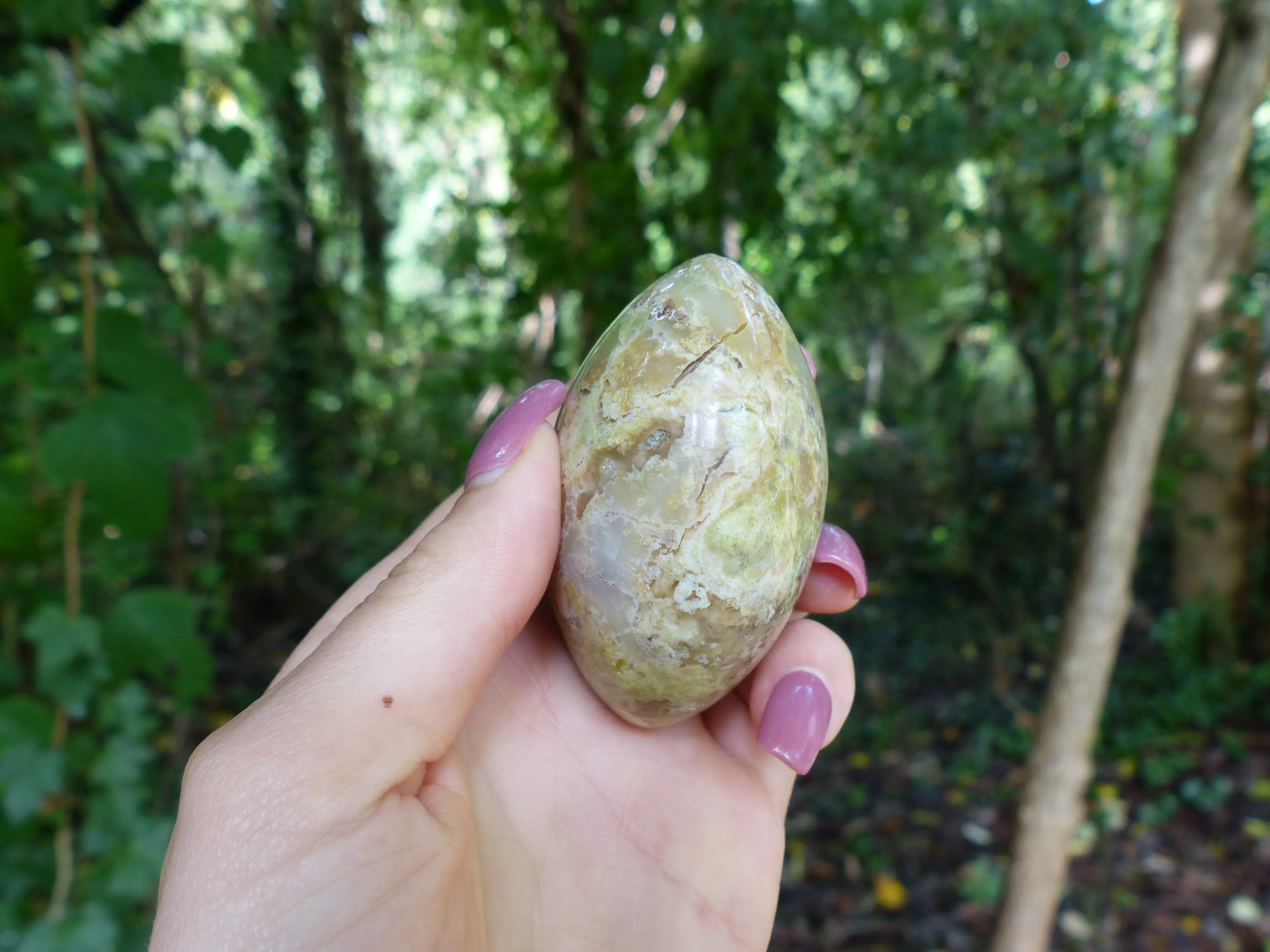 Green Opal Palm Stone (#6)