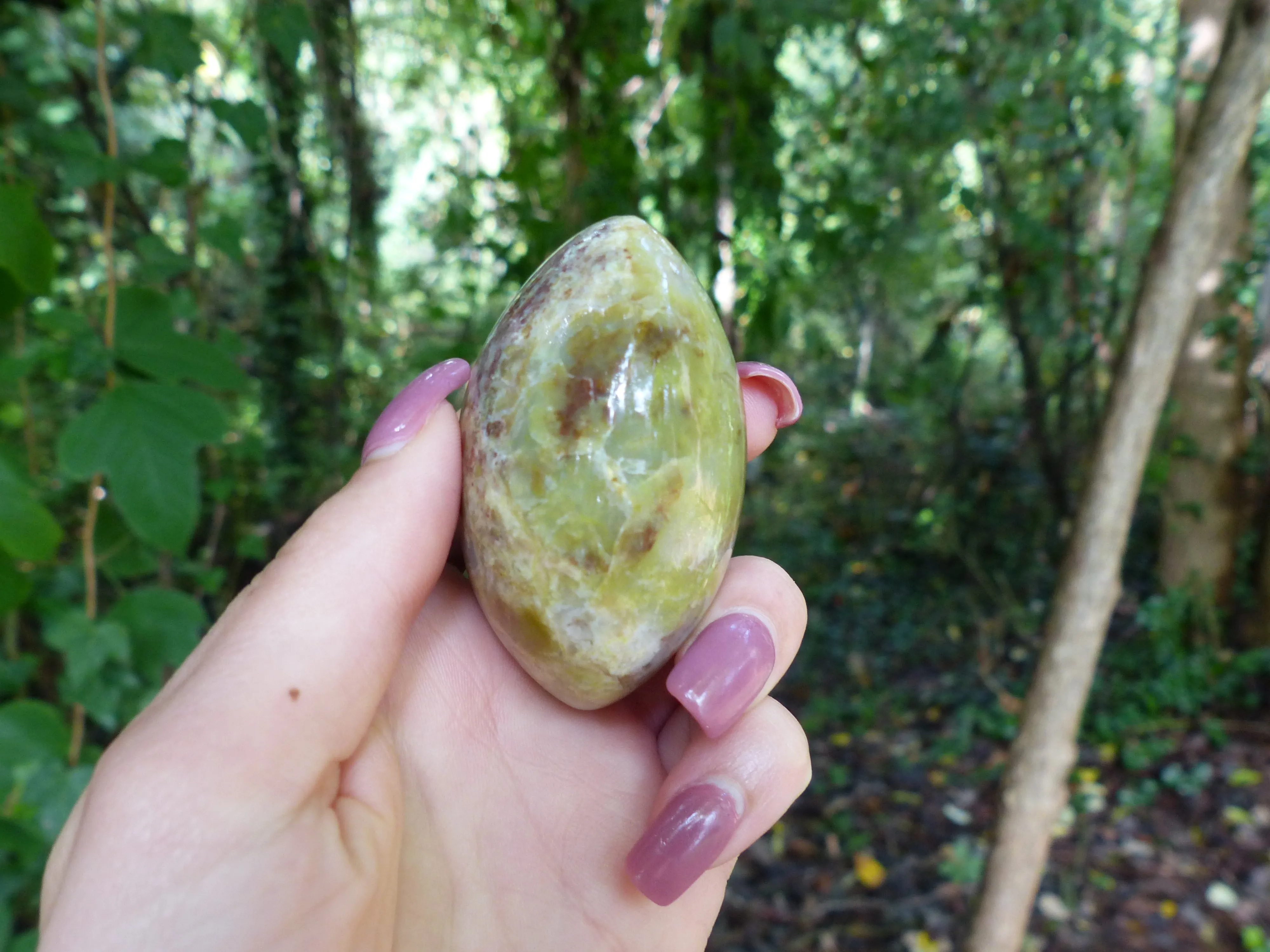 Green Opal Palm Stone (#6)