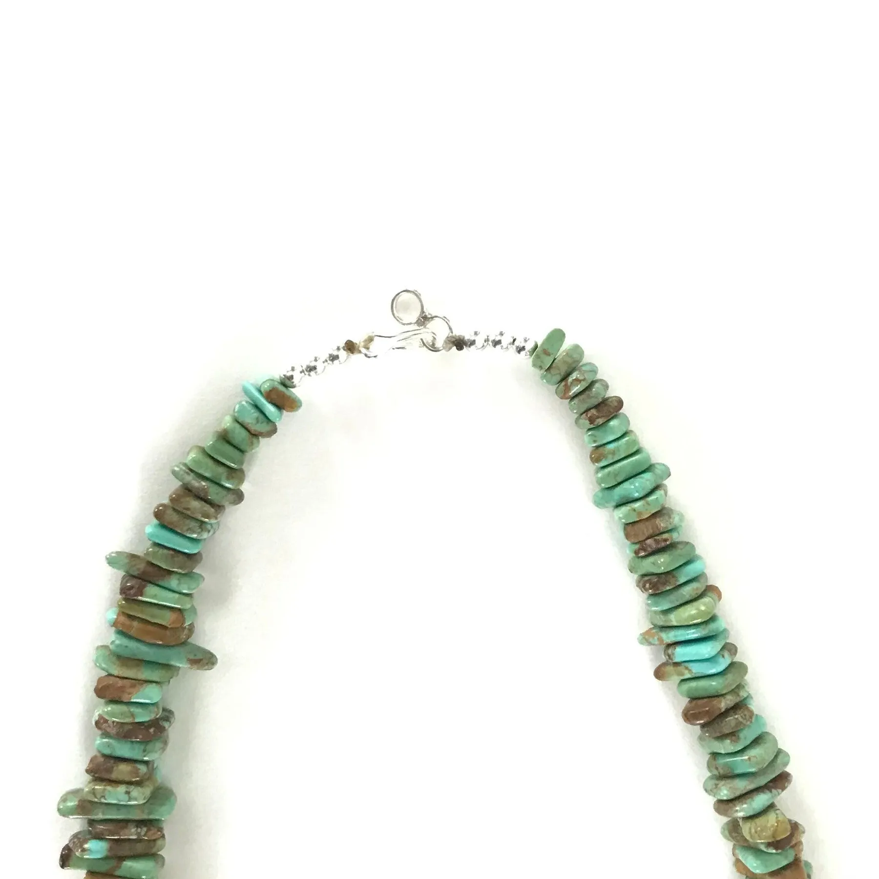 Nick Rosetta Carico Lake Turquoise Nugget Necklace