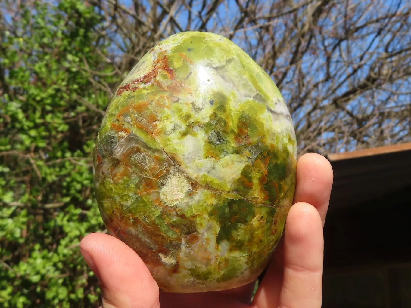 Polished Dendritic Opal Standing Free Forms  x 3 From Moralambo, Madagascar