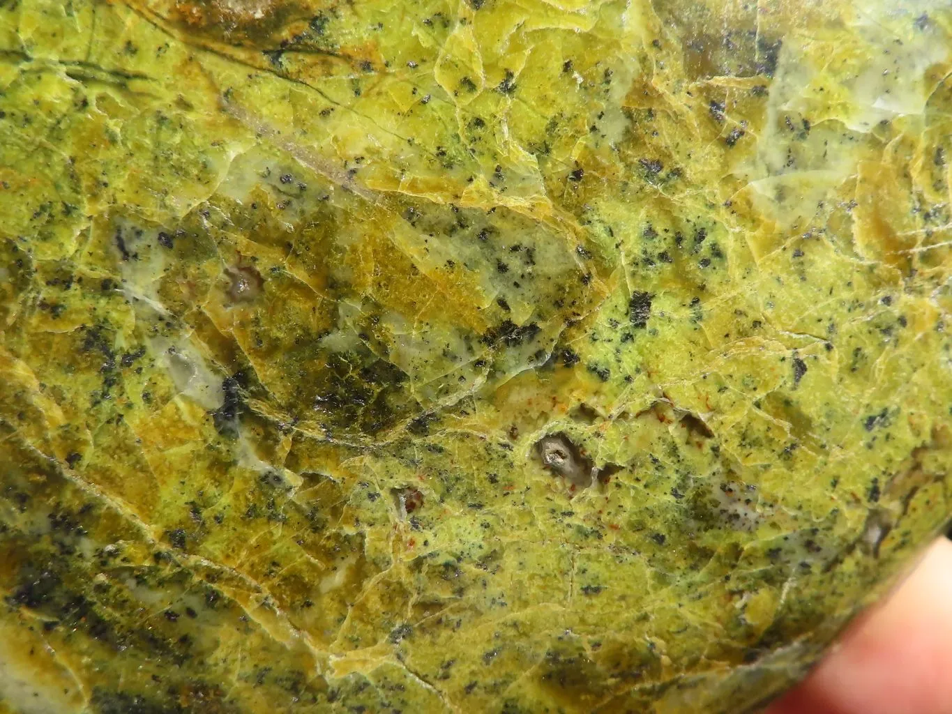 Polished Green Opal Standing Free Form x 1 From Madagascar