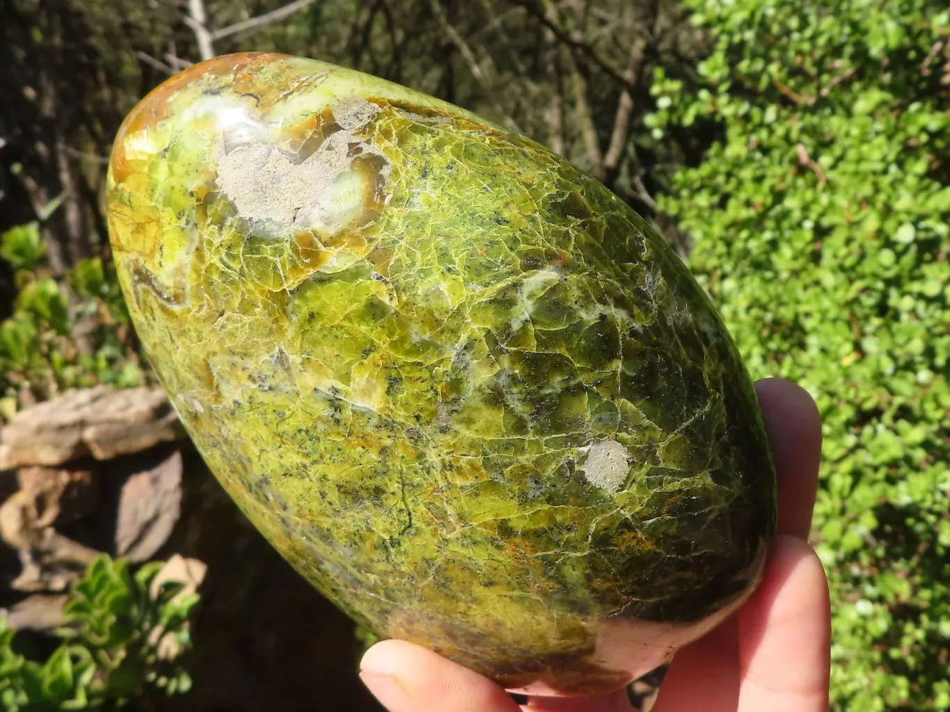 Polished Green Opal Standing Free Form x 1 From Madagascar