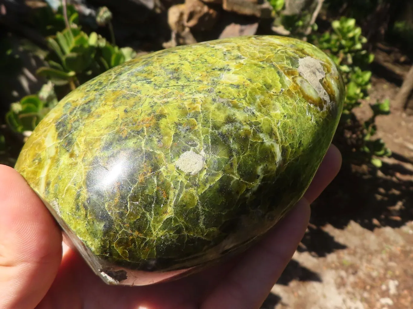 Polished Green Opal Standing Free Form x 1 From Madagascar