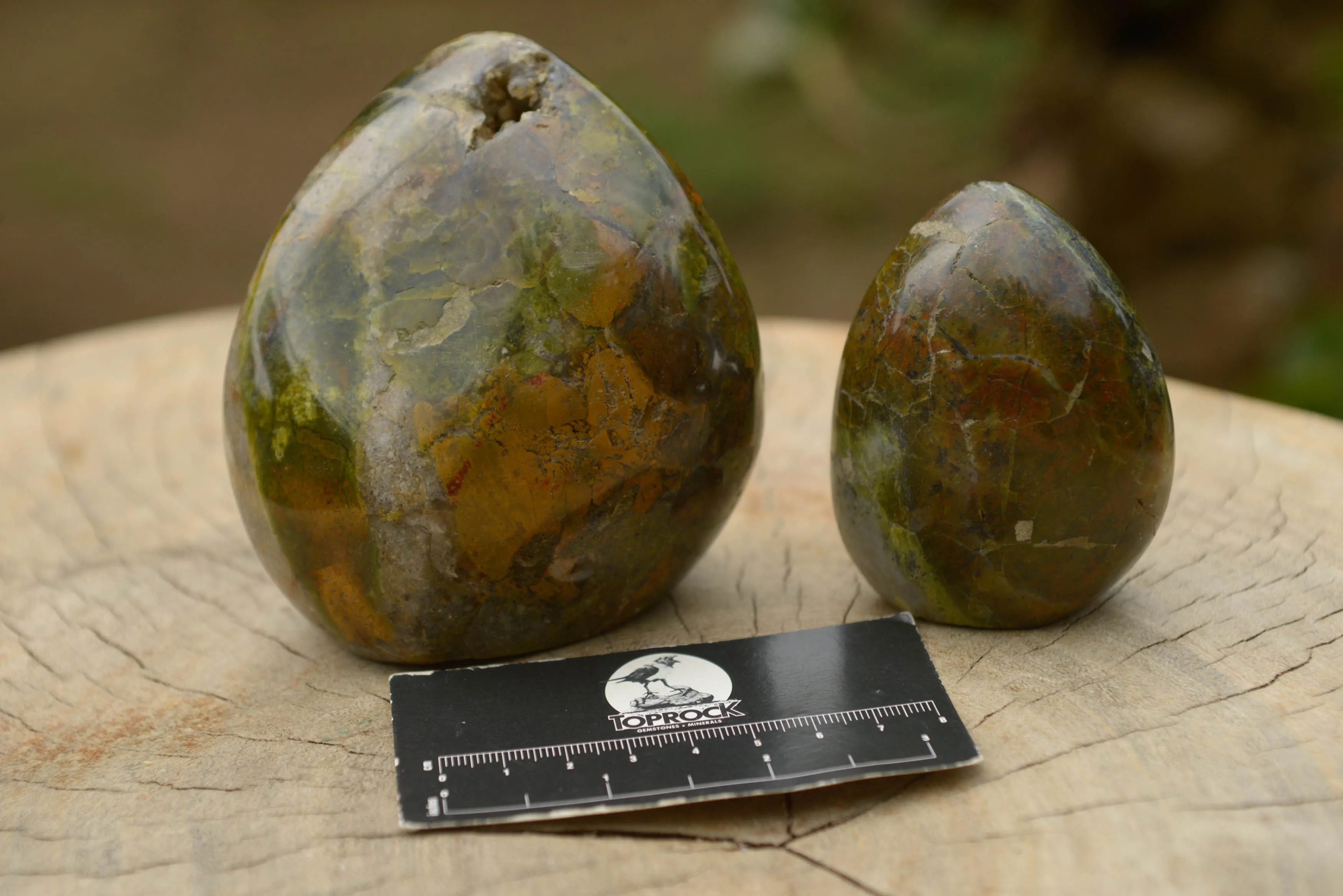 Polished Green Opal Standing Free Forms  x 5 From Madagascar