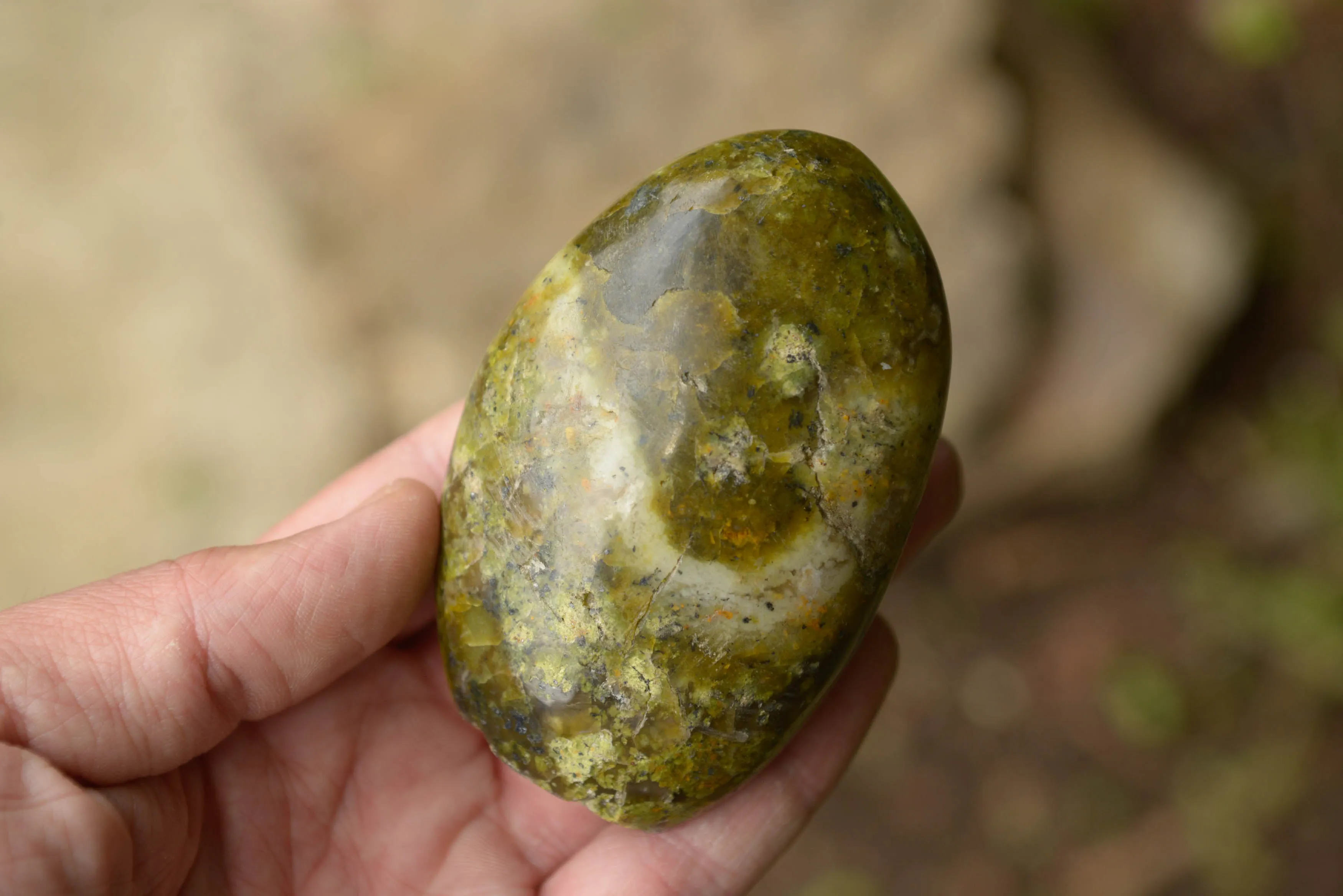 Polished Green Opal Standing Free Forms  x 5 From Madagascar