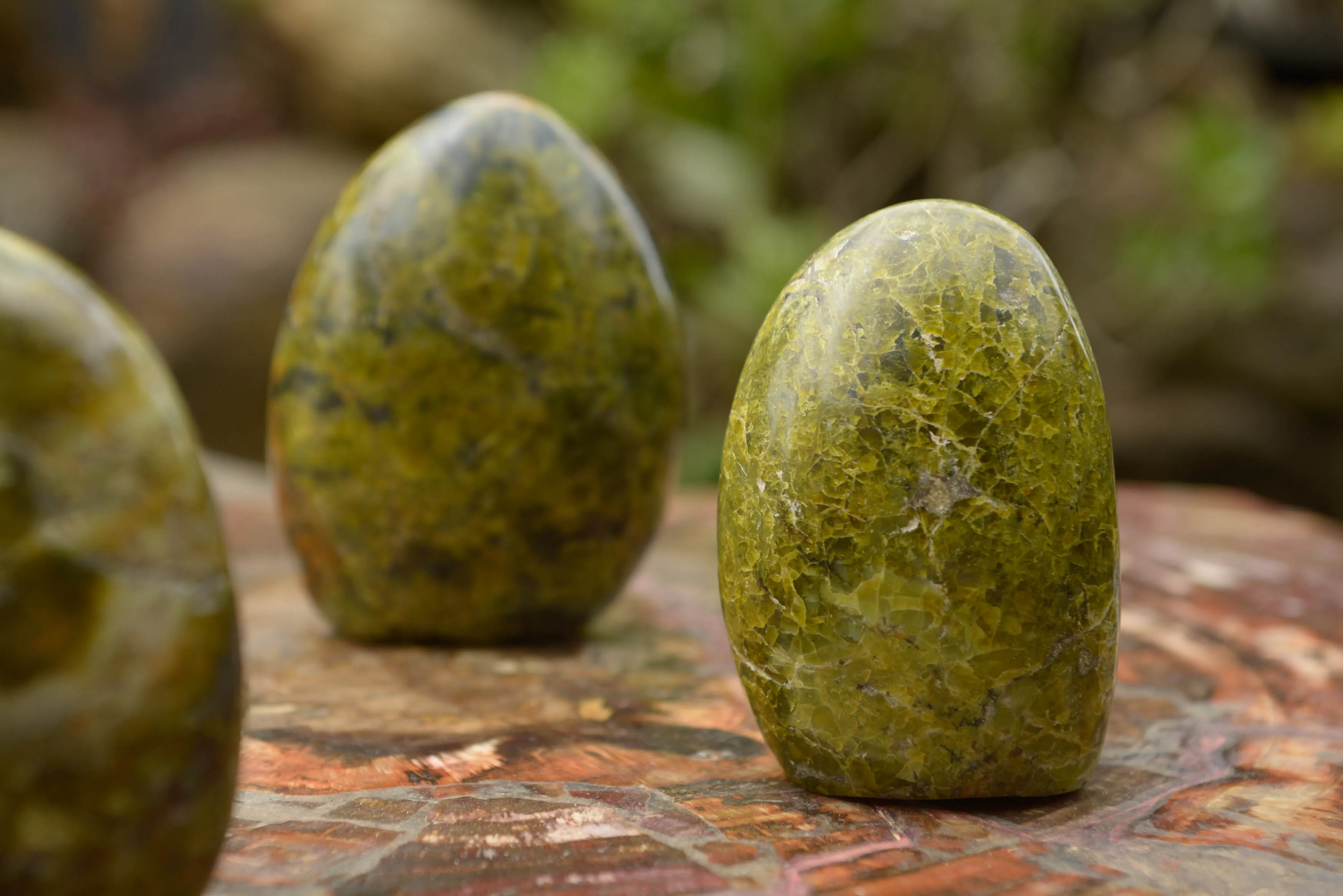 Polished Green Opal Standing Free Forms  x 5 From Madagascar