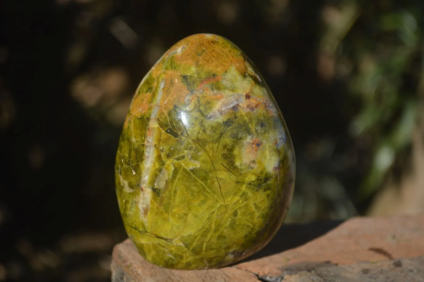 Polished Green Opal Standing Free Forms  x 6 From Antsirabe, Madagascar