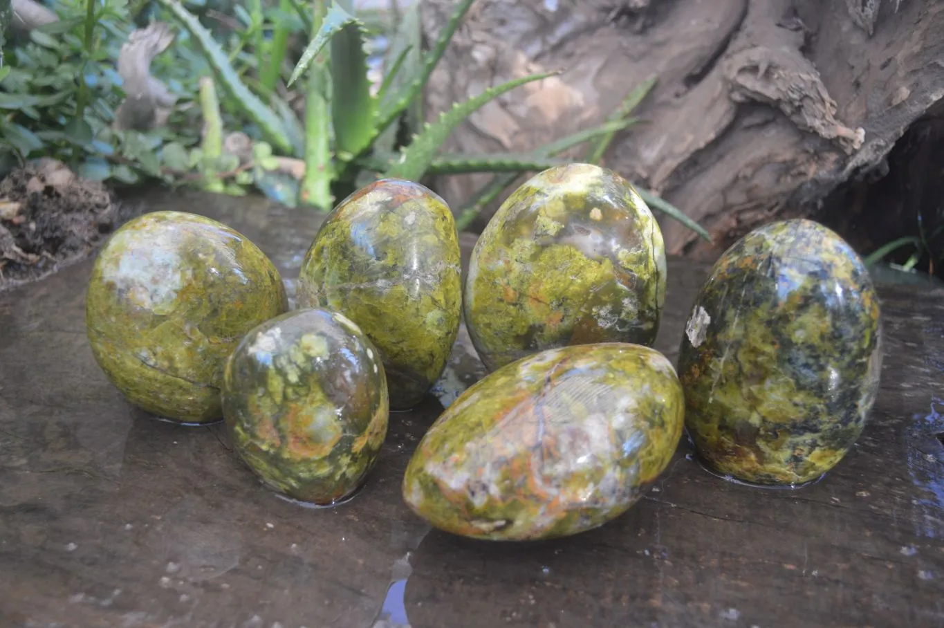 Polished Green Opal Standing Free Forms  x 6 From Antsirabe, Madagascar