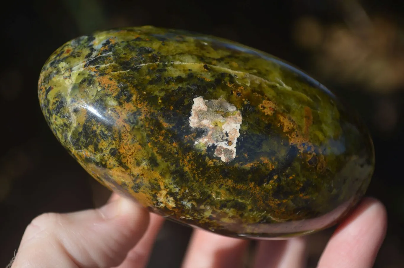 Polished Green Opal Standing Free Forms  x 6 From Antsirabe, Madagascar