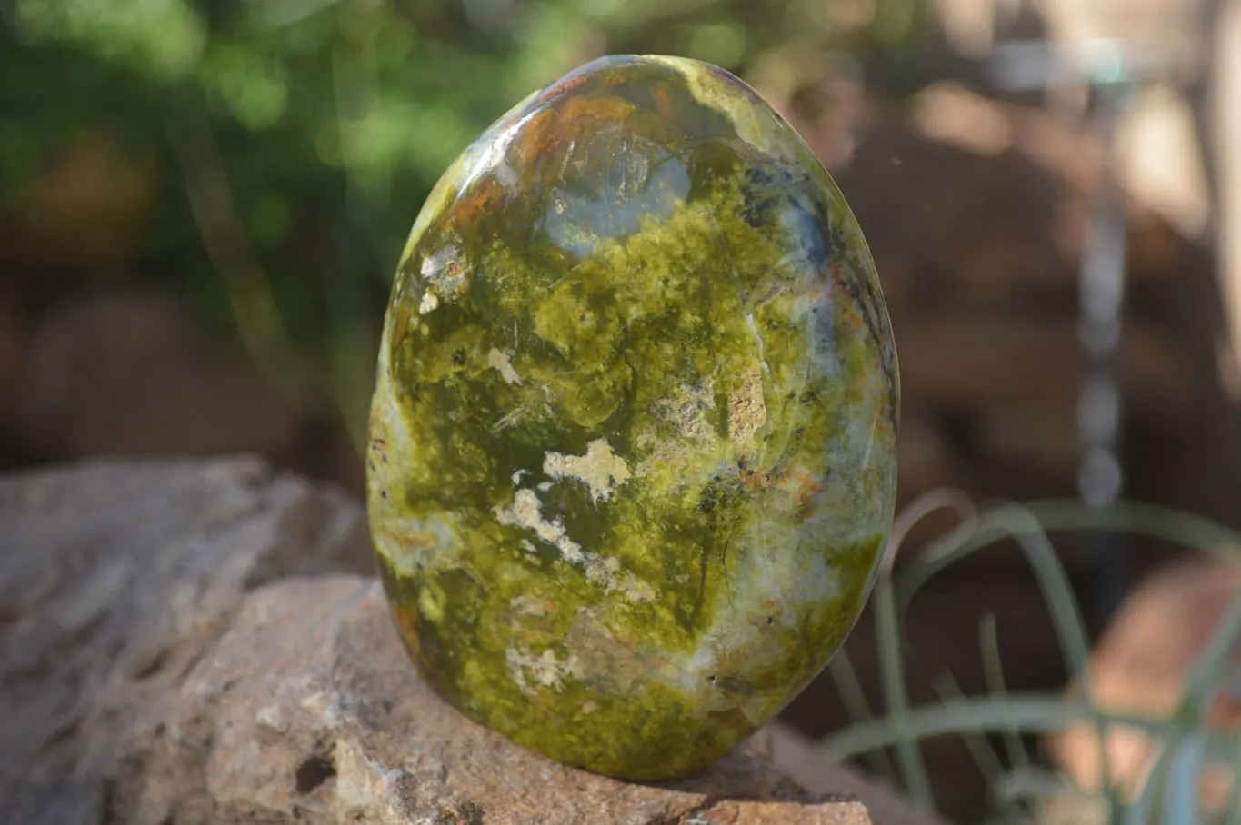 Polished Green Opal Standing Free Forms  x 6 From Antsirabe, Madagascar