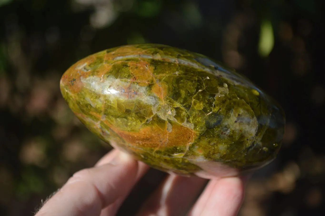 Polished Green Opal Standing Free Forms  x 6 From Antsirabe, Madagascar