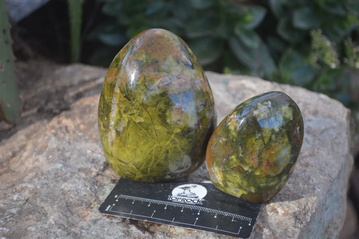 Polished Green Opal Standing Free Forms  x 6 From Antsirabe, Madagascar
