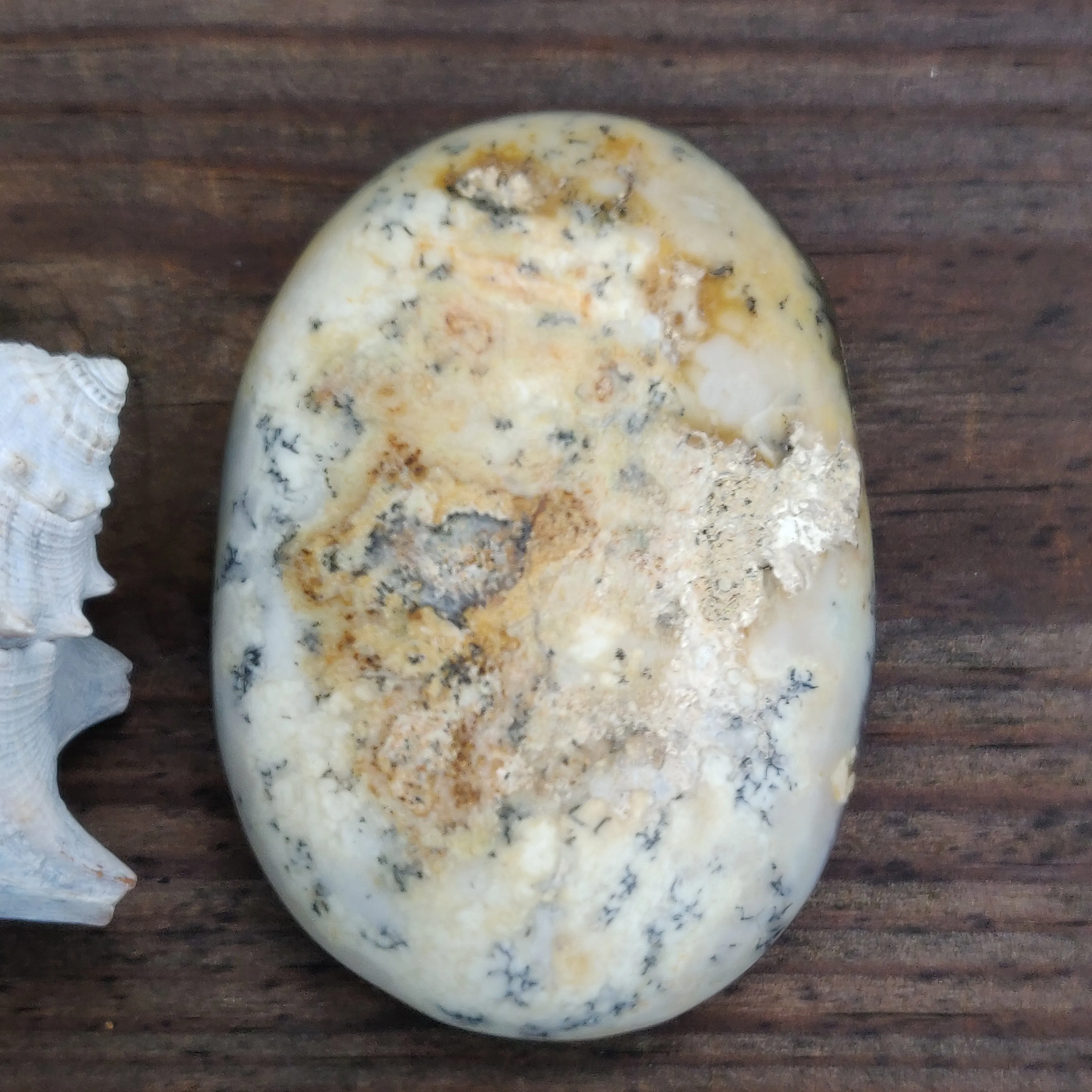 Purple Dendritic Opal Palm Stone (#35)