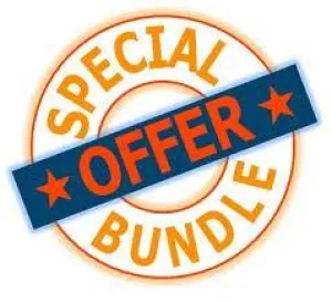 Ring Inlay Starter Set