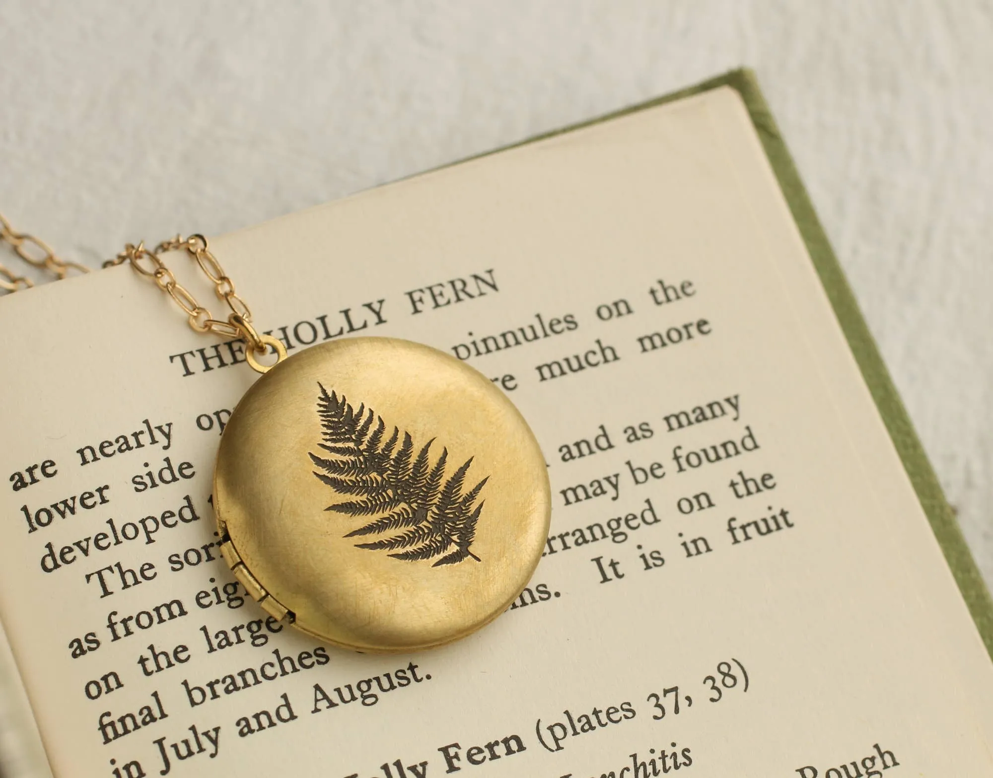 Silk Purse, Sow’s Ear  Fern Locket